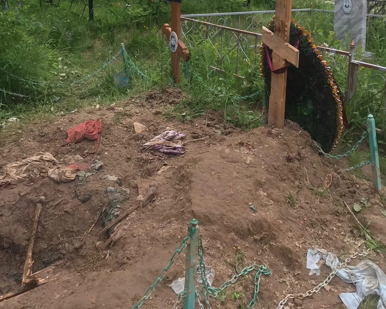 Хабаровск. Медведи раскапывают могилы на кладбище