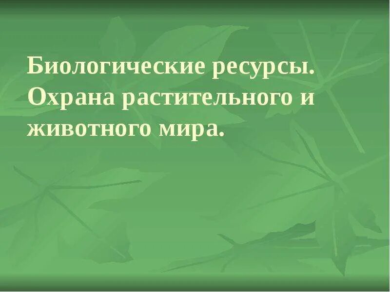 Биологические ресурсы презентация. Охрана животных и растений. Биологические ресурсы охрана. Охрана животных и растений. Рациональное использование и охрана растительности.