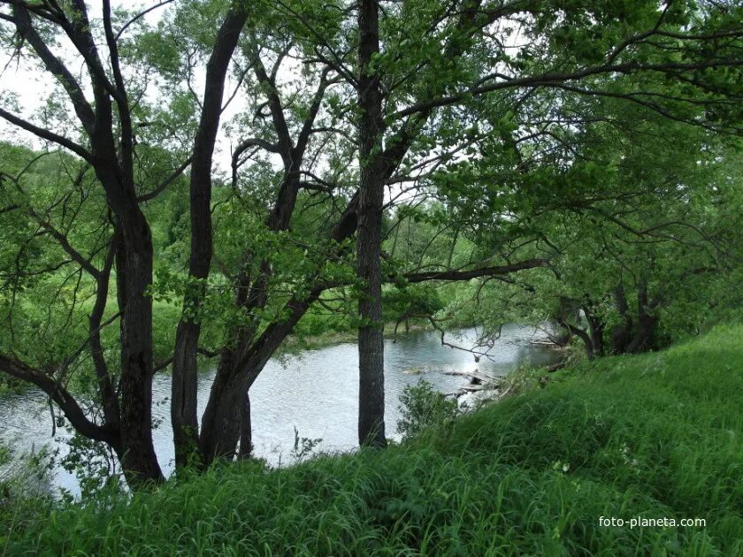 Введенская церковь чанки. Река коломенка в коломне. Речка коломенка кашира. Же малино проводник коломна. Коломна сквер бобренево.