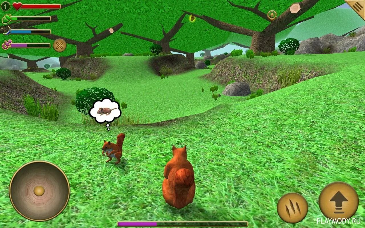 Симулятор белки 2 онлайн. Мод на белок. Симулятор белки 2. Симулятор белки. Симулятор белки 2 андроид.