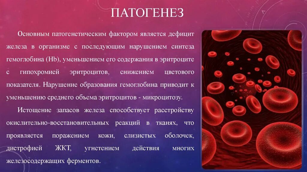 Низкий гемоглобин какой врач. Патогенез железодефицитной анемии. Анемия эритроциты. Эритроциты при железодефицитной анемии. Механизм развития жда.