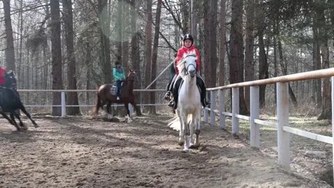 Конная усадьба путь