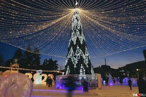 Фото елки в израиле 2023