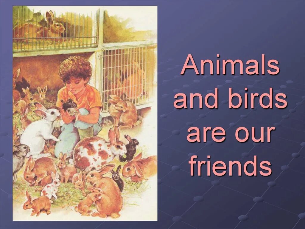 We good friends in our. Birds are our friends. Animals are our friends. Our animal friends. Урок английского языка 4 класс тема животные.