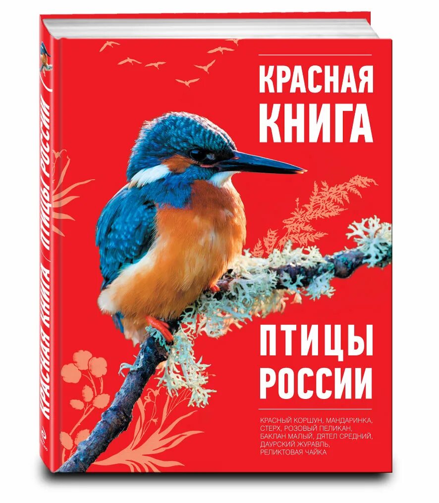 Красная книга список птиц