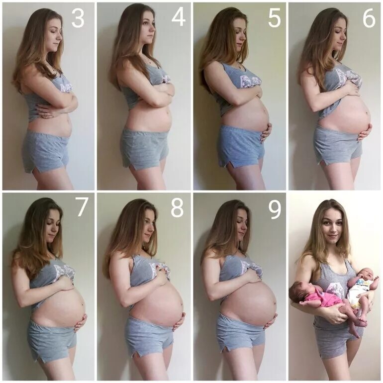 Живот на 7 месяце беременности двойней. Живот на 1 месяце беременности двойней. Живот на 3 месяце беременности двойней. Живот на 9 месяце беременности двойней. Большие девочки 8 неделя