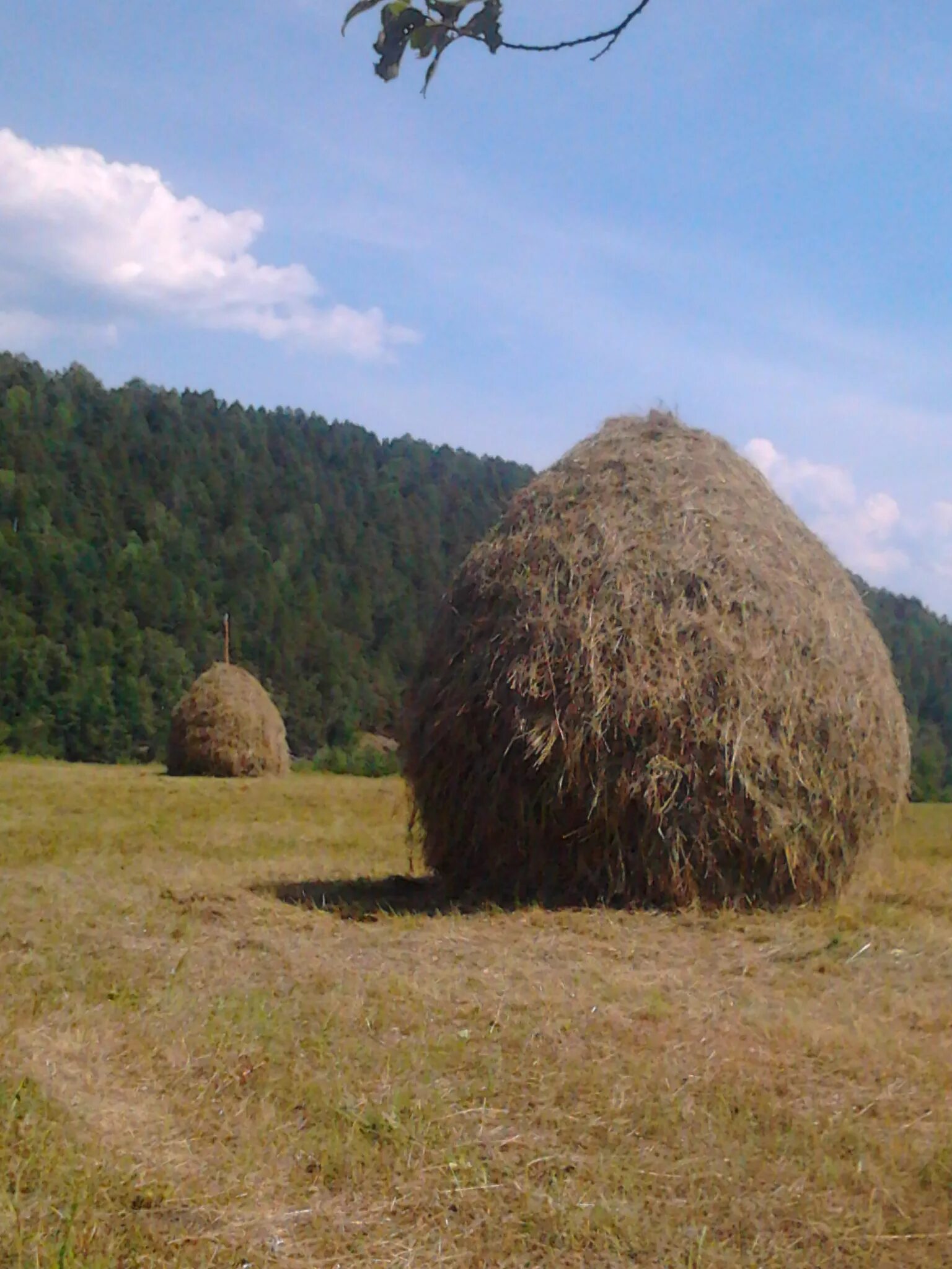 Озеро сена. Калязин. Скирда. Стог.. Сенная копна. Стог Скирда копна. Стог сена сбоку.