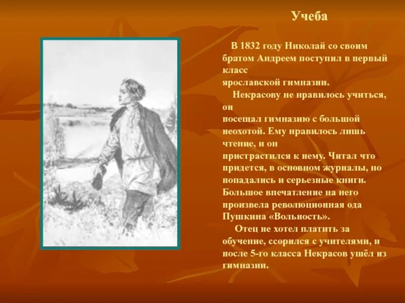 Учеба Некрасова. Некрасов поступил в гимназию. Некрасов Ярославская гимназия. Судьба николая алексеевича