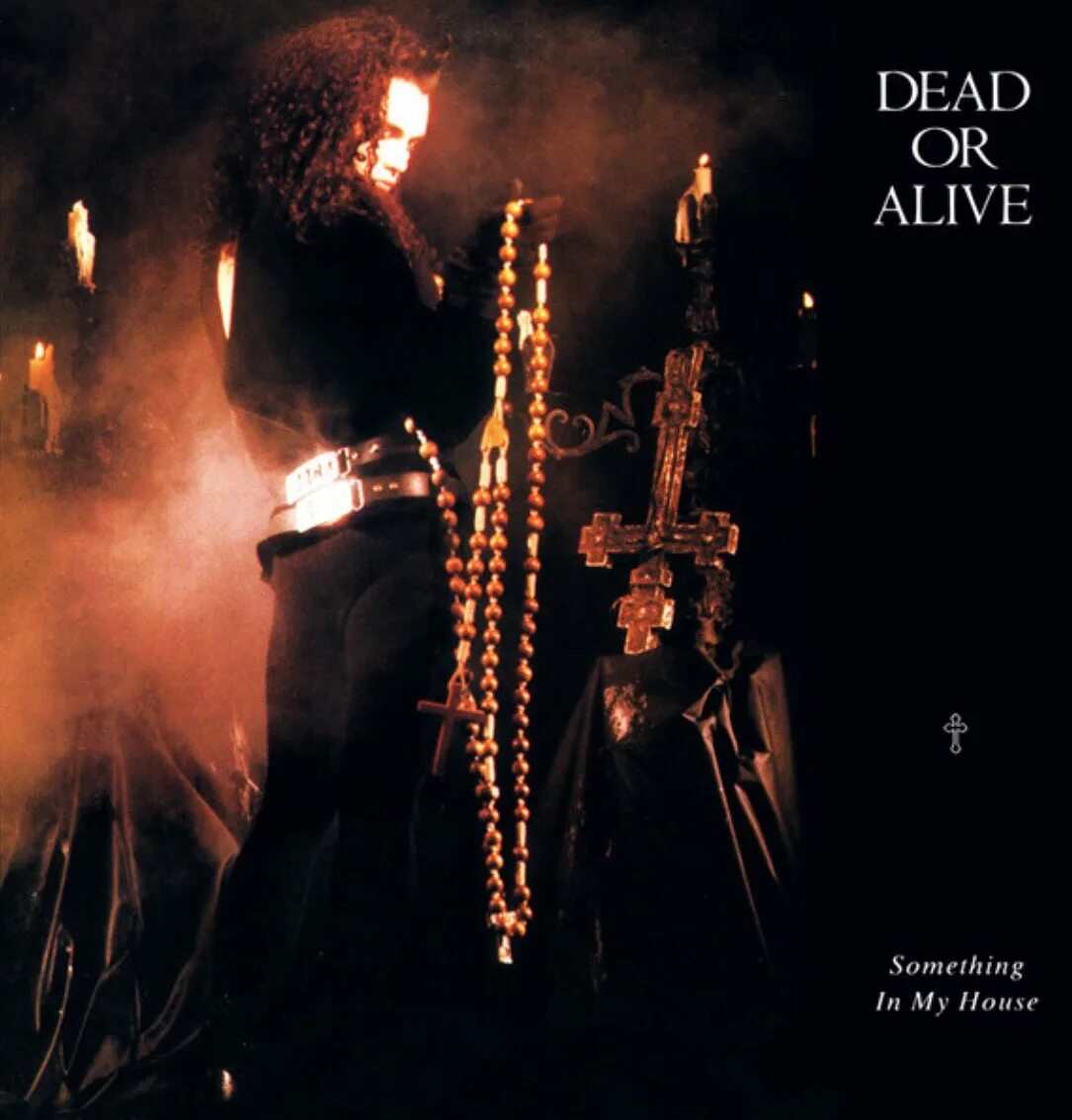 Something in my. Dead or alive something in my house. dead or alive - something in my house обложка. dead or alive альбомы. dead or alive группа.