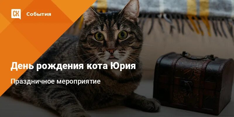 Афиша день рождения кота. Семейное положение Юрия кота. Сын Юрия кота. Статьи юрия кота