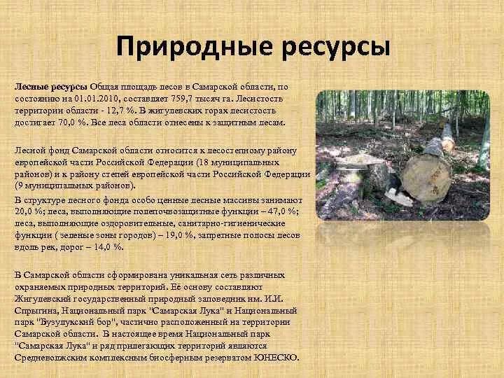 Какими природными богатствами славится самарская