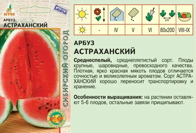 В Астрахани может появиться новый арт-объект - арбуз