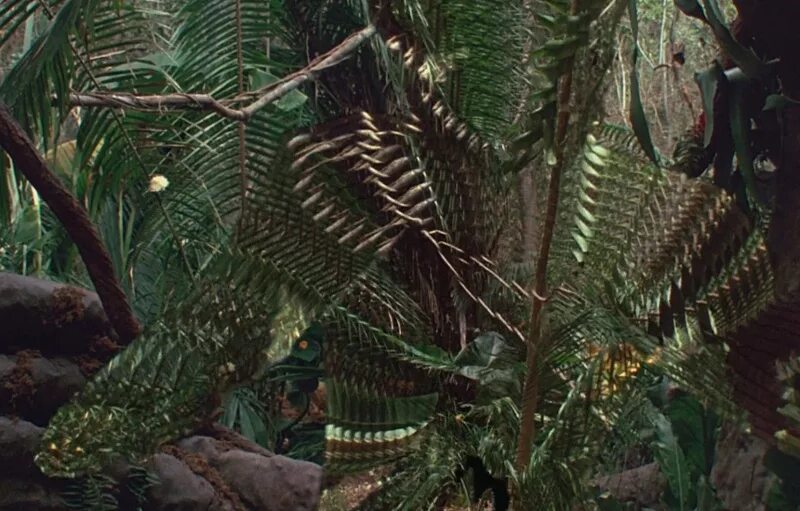 Маскировка хищника. Маскировка хищника. Камуфляж хищник. Маскировка хищника. Маскировка хищника.