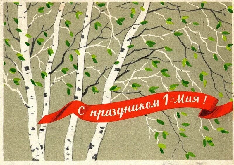 1 Мая плакат. Береза плакат. Открытка 1 мая праздник весны и труда. Открытки с 1 мая с березками. Почта березки