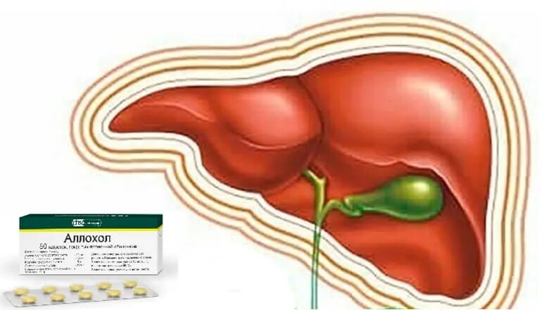 Аллохол для чистки печени. Аллохол схема чистки печени. Чистка печени аллохолом. Схема приёма Аллохола для чистки печени. Очистка печени и желчевыводящих аллохолом.