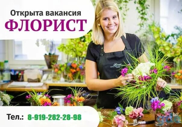 Требуется флорист. Профессия помощник флориста. Работа помощник флориста без опыта. Требуется помощник. Требуется флорист.