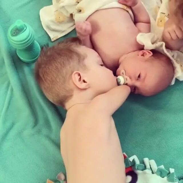 Как успокоить младшего брата