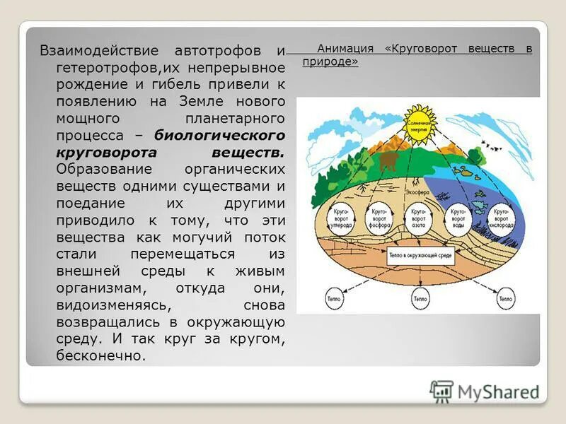 биологический круговорот веществ. первые растения - автотрофы. биологический круговорот в биосфере. автотрофы и гетеротрофы. круговорот воды в экосистеме.