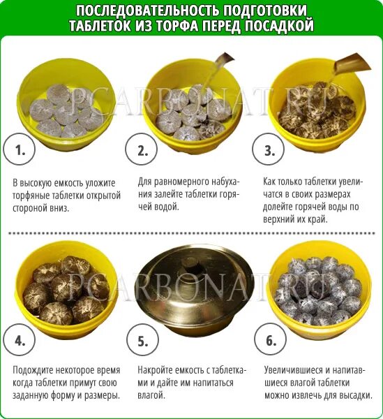Как правильно посадить рассаду в таблетки. Посадка в торфяные таблетки. посадка рассады в торфяные таблетки. посев в торфяные таблетки.