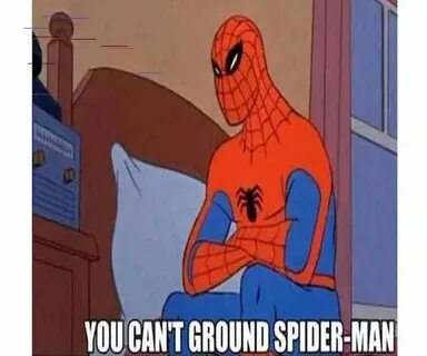 Mr thank you spider man