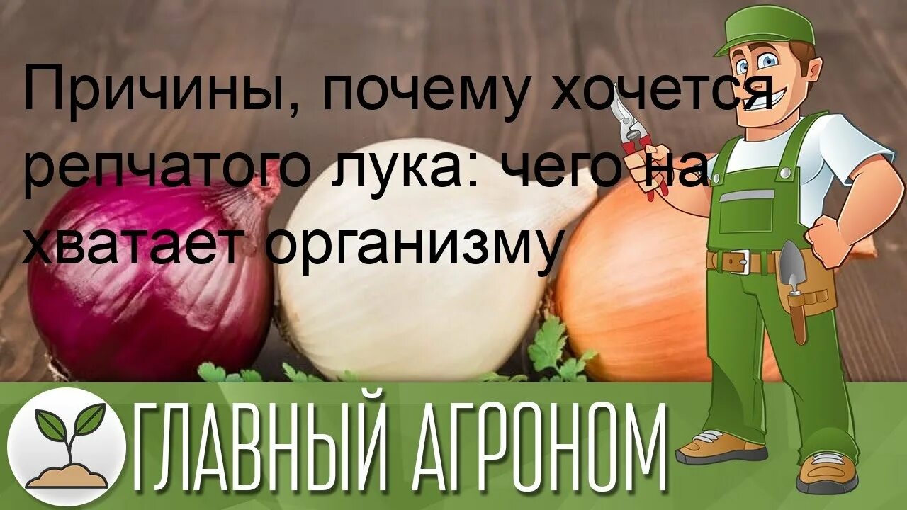 Почему хочется есть сырой лук. Хочу лук репчатый почему.