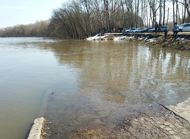 Уровень воды в оке белев сегодня