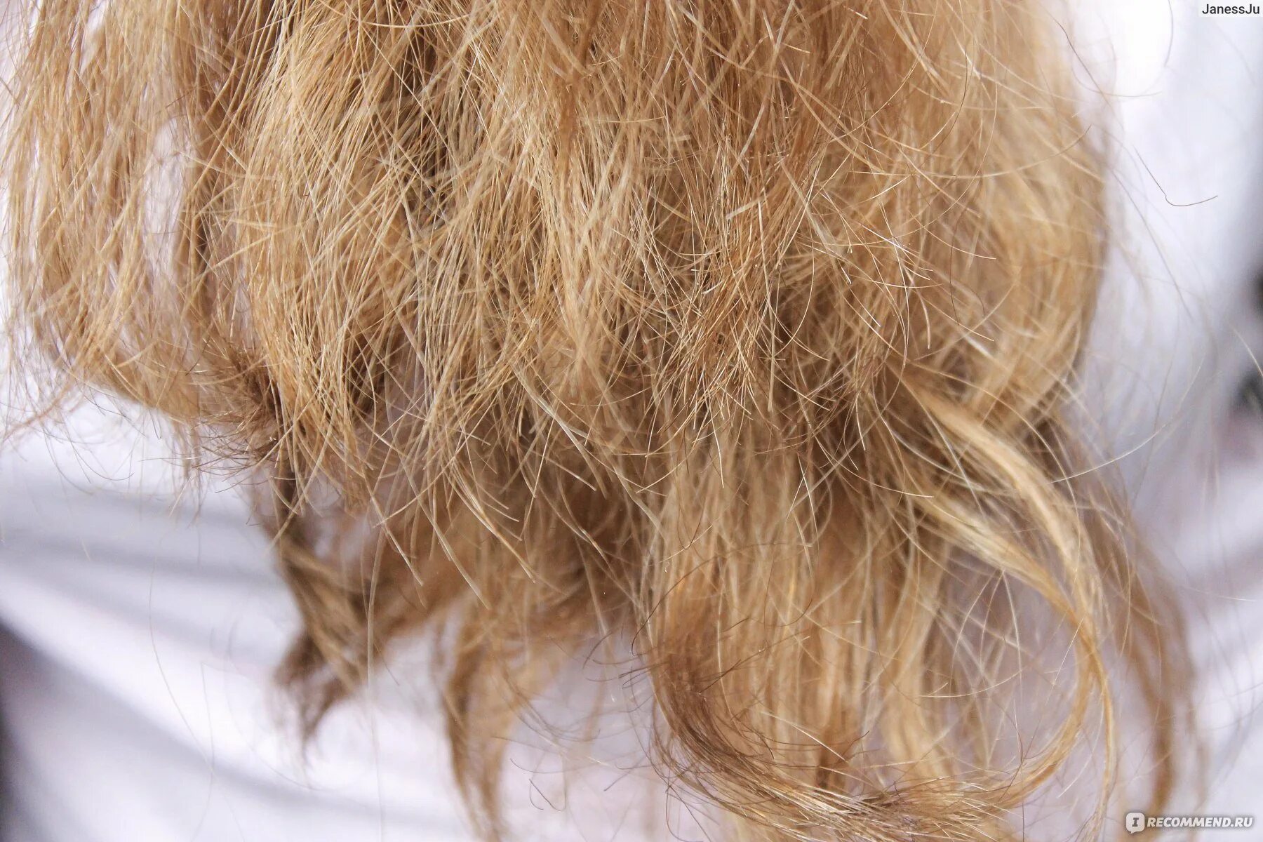 Лохматые волосы. Густые пушистые волосы. Тонкие пушистые волосы. Каре на пушистые волосы. Кудрявое каре.