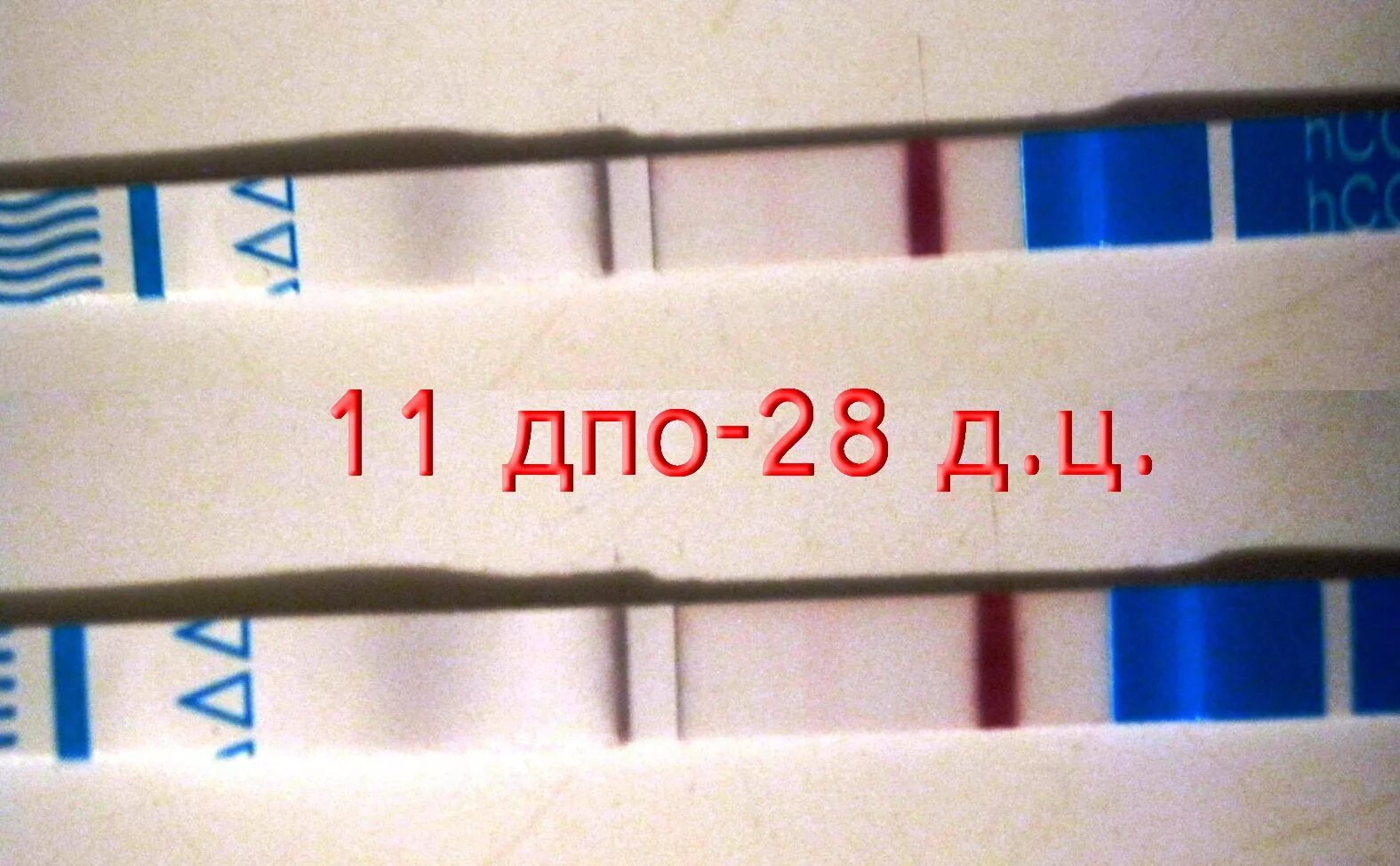 Как отличить реагент. Реагенты на тестах. реагенты на тестах на беременность. реагент тест на беременность. полоска реагент на тесте.