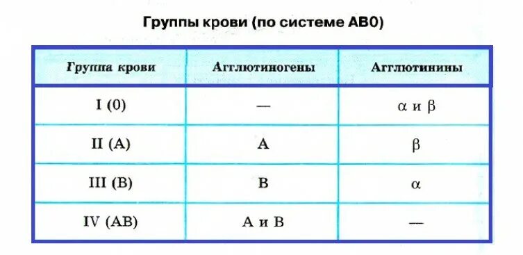 5 положительная группа. Как написать группа крови 2 положительная. 3 положительная группа крови как написать. как пишется 1 отрицательная группа крови. как правильно записать группу крови 1 положительная.