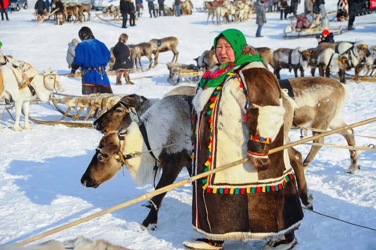 Ямало- Ненецкий автономный округ ненцы праздник народов севера. Салехард ненцы. Ямало-Ненецкий автономный округ. Ненецкий автономный округ Ямало Ненецкий  Ханты. Ненецкий автономный округ народ