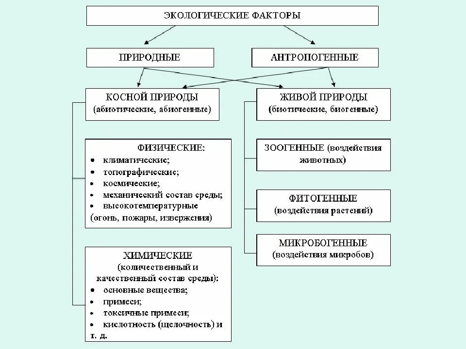 Таблица классификация экологических факторов окружающей среды. Классификация факторов окружающей среды и их характеристика.. Схема виды экологических факторов. Типы экологических факторов,их характеристика.. Физическим и природным воздействиям