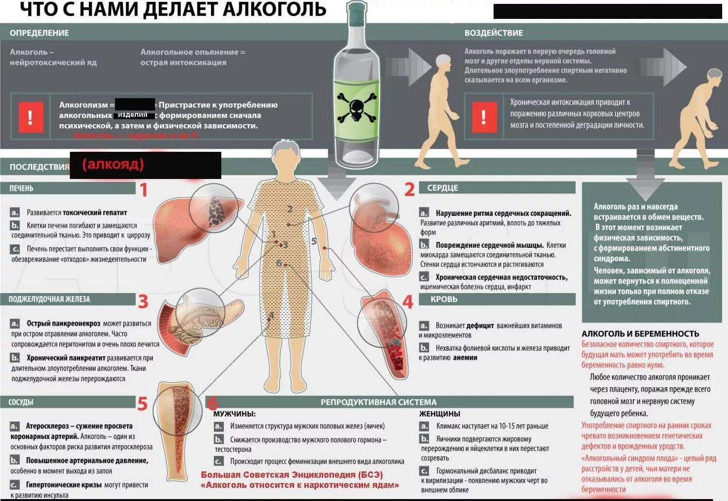 Алкоголизм и его влияние на организм. Гепатит а последствия