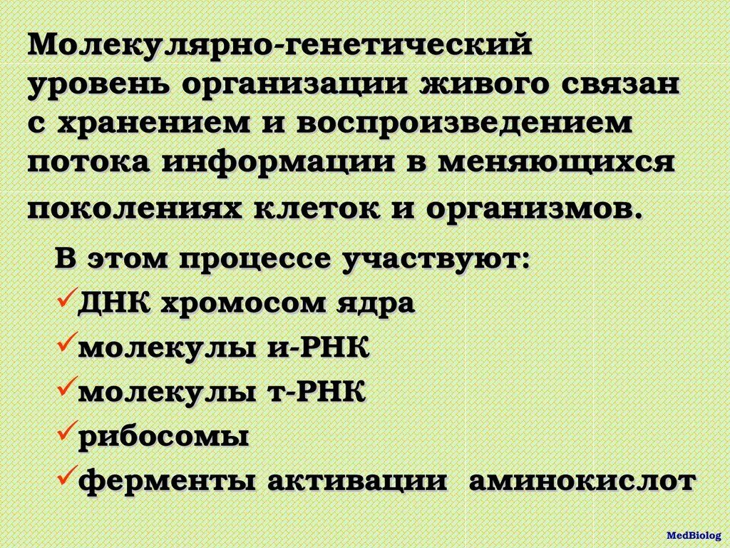 Генетический уровень организации. Молекулярно-генетический уровень организации жизни. Молекулярно-генетический уровень организации живого. Молекулярно генный уровень организации. Организация наследственной информации