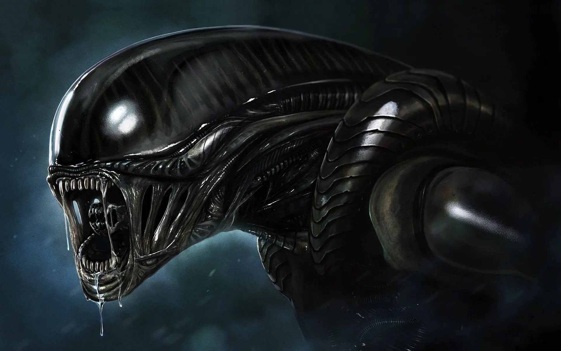 Чужой по английски. Чужой 1 ксеноморф. Ксеноморф трутень чужой 1979. Чужой по английски. Aliens vs predator 2010 чужой.