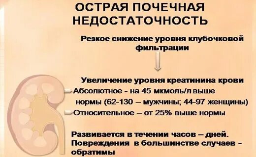 Хпн на узи почек. Признаки опн на узи. Острая почечная недостаточность на узи. Узи почек хбп. Хпн на узи почек.