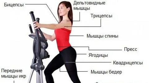 Как заниматься на эллиптическом тренажере чтобы похудеть