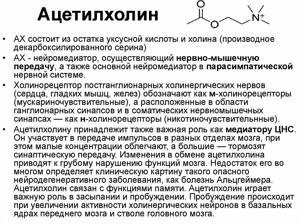 Синтез медиатора осуществляется