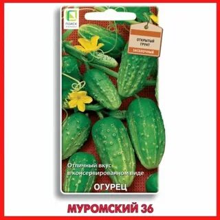 Виды огурцов в магазине