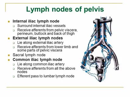 Internal node