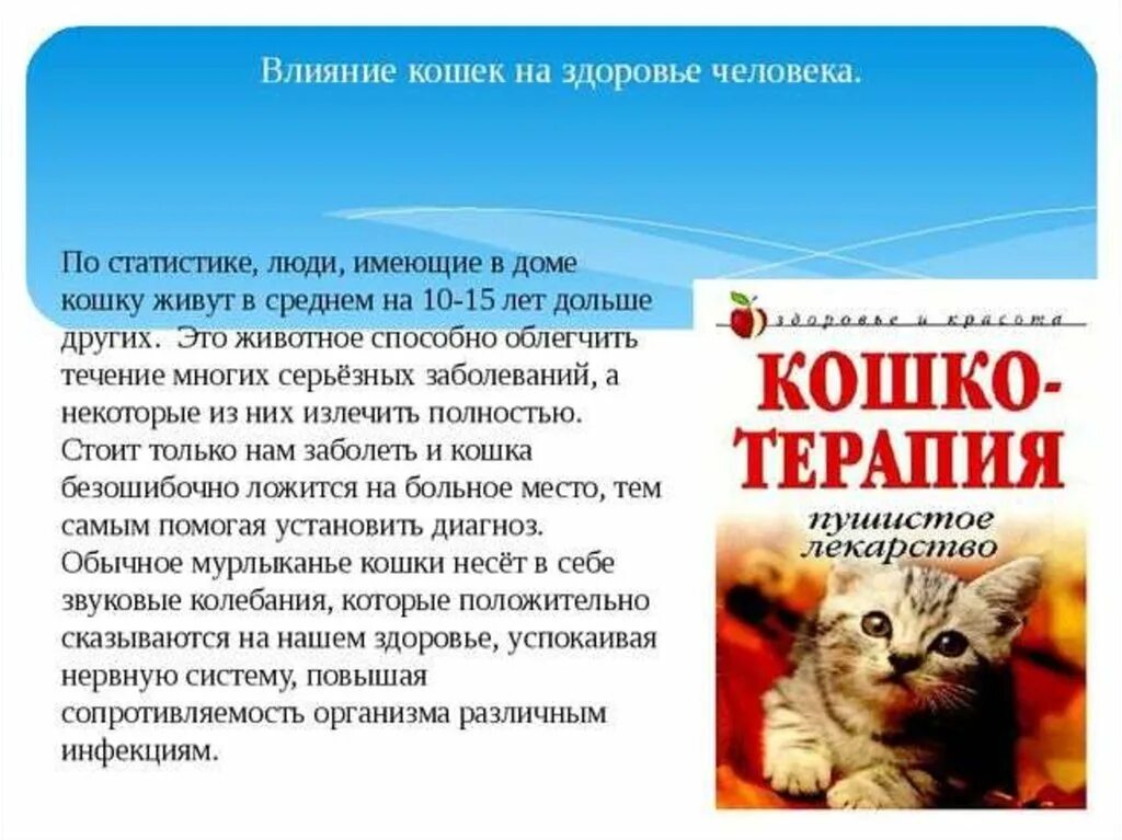 Влияние человека на климат. Влияние кошек на психоэмоциональное состояние человека. Влияние кошек на человека. Влияние кошки на жизнь человека презентация. Здоровье и эмоциональное состояние.