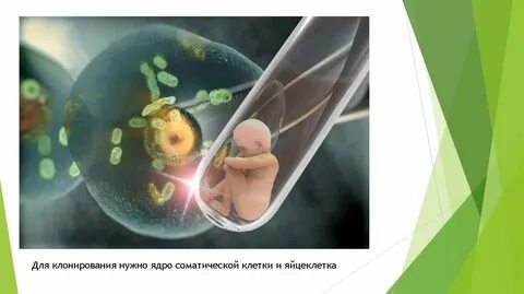 После клонирования