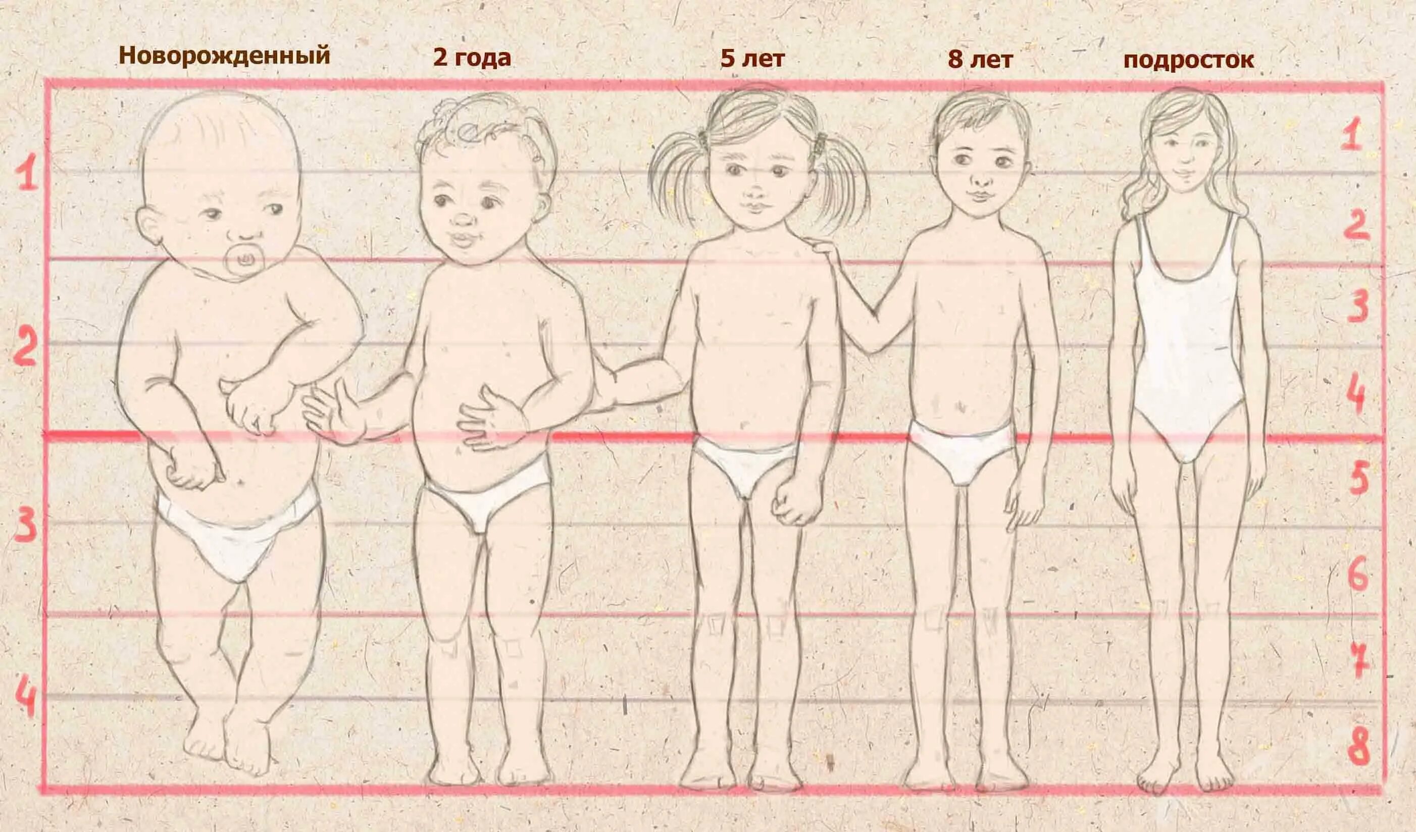 Пропорции тела ребенка по возрастам. Пропорции тела ребенка 5 лет. Анатомия пропорции тела ребенка. Пропорции частей тела ребенка в 1год. Рисунок насколько
