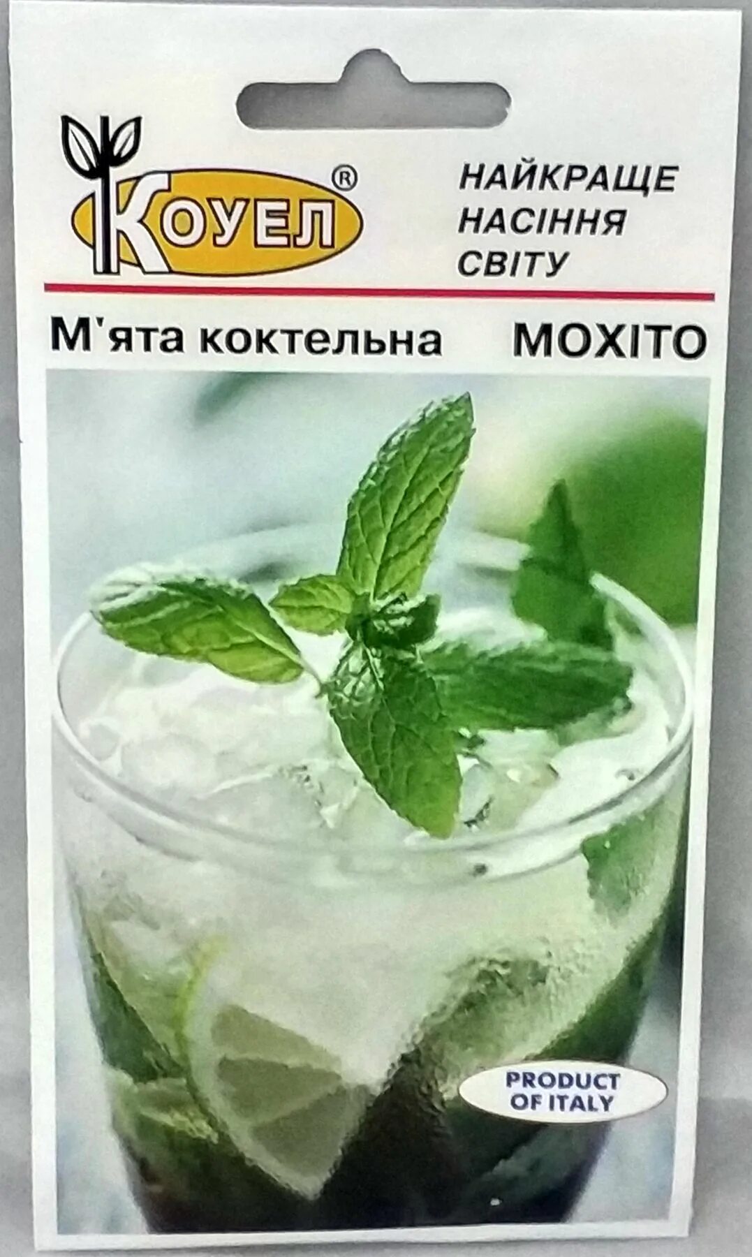 Мохито какая мята. Мята сорт мохито. мохито трава. мята мохито семена. сорт мяты для мохито.