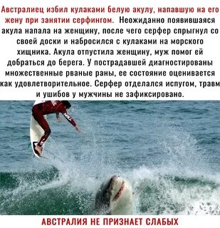 Сколько человек погибает от акул в год