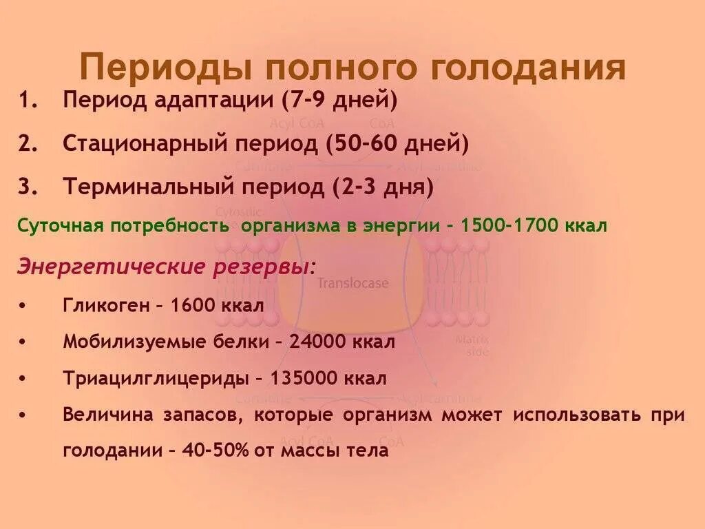 Суточное голодание. Как правильно голодать. Голодание на воде. Суточное голодание на воде. Как начать голод