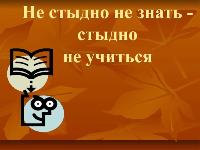 Стыдно знать 1. Не стыдно не знать стыдно не учиться. не стыдно не знать стыдно не учиться рисунок. пословицы на тему не стыдно не знать стыдно не учиться. стыдно не знать стыдно.