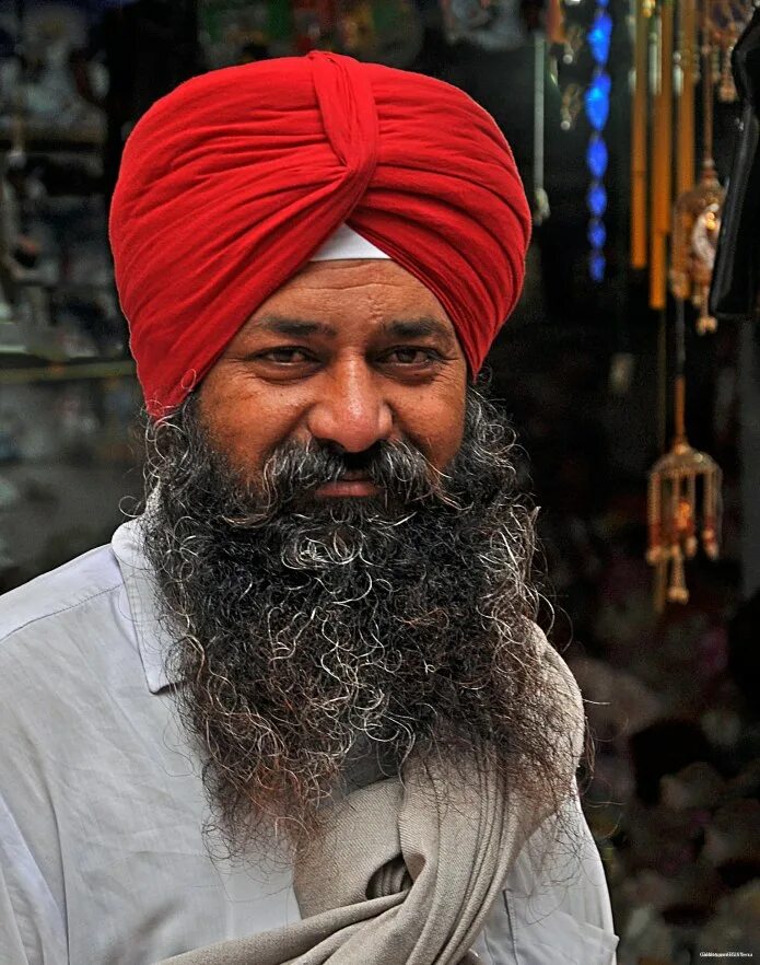 Индусы тг. Типичный индус. Индусы внешность. Коренные индусы. Белокожие индусы.