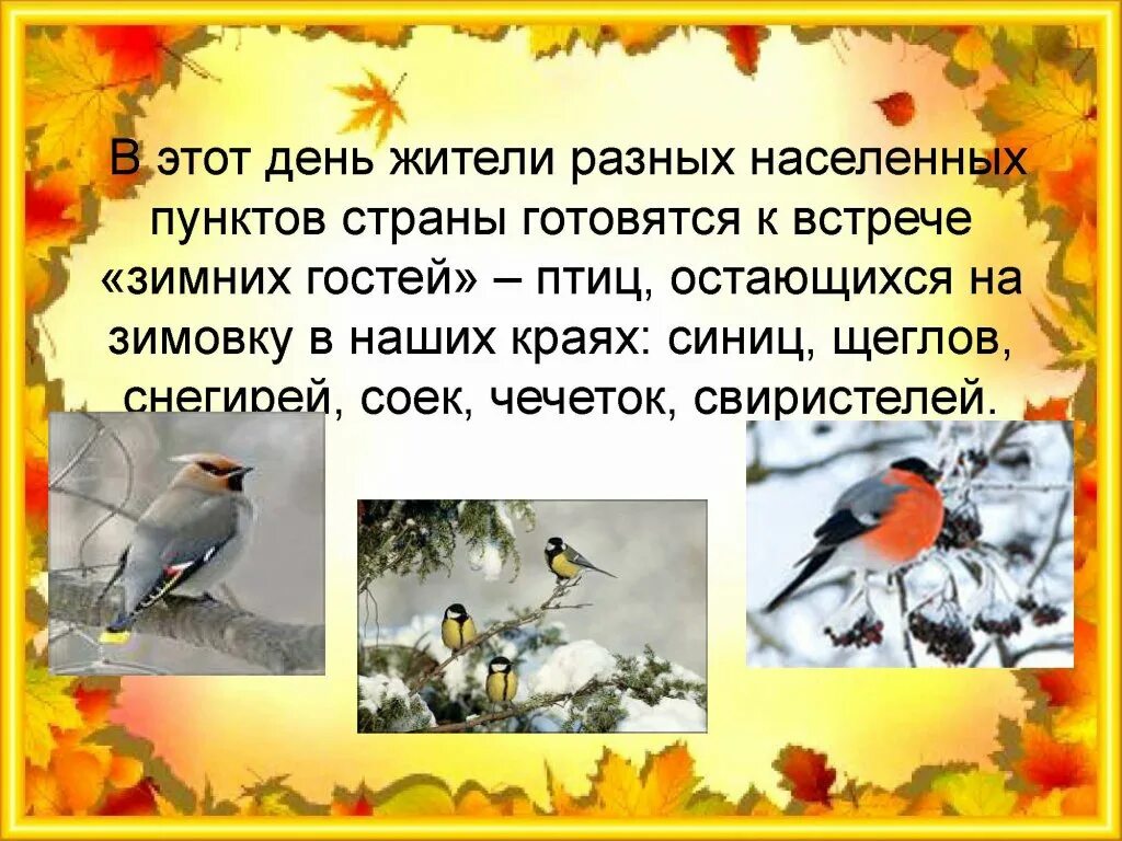 Шаблон для презентации Синичкин день. Синичкин день 12 ноября презентация для детей. Консультация для родителей 1 младшая группа Синичкин день.