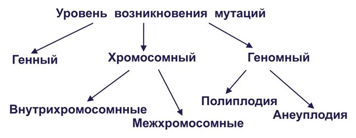 Сравнительная характеристика форм изменчивости таблица генные геномные хромосомн