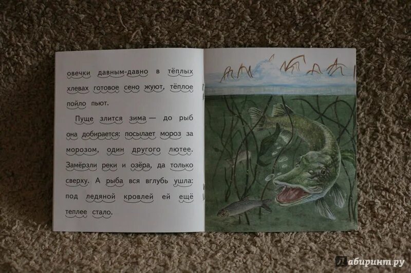 «сказка к. Ушинский «проказы матушки зимы». Ущинский «проказы старухи зимы». Ушинский проказы старухи зимой. Д.